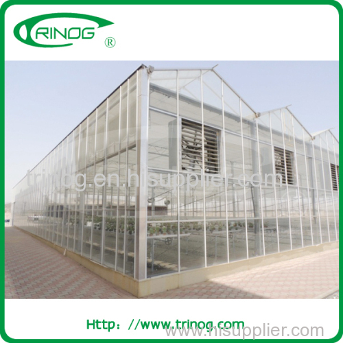 Multi span glass greenhous for agriculture