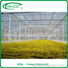 Multi span glass greenhous for agriculture