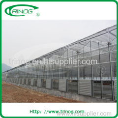 Commercial tempered glass greenhouse for sale