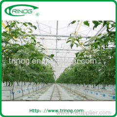 Commercial tempered glass greenhouse for sale