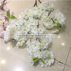 Peach Blossom Product Product Product