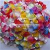 Flower Petal Product Product Product