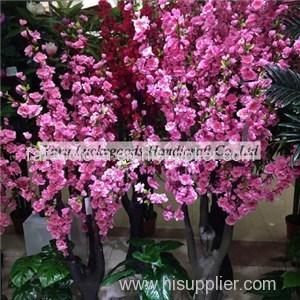 Peach Blossom Tree Product Product Product