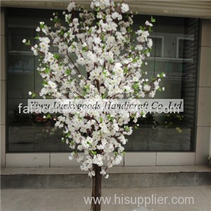 Cherry Blossom Tree Product Product Product