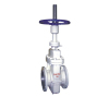 Manual flat gate valve of power station valves