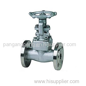 American standard small-bore forged steel power plant gate valve