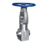 Forged steel globe valve SDFJ61Y-P61-F91 of power plant valve