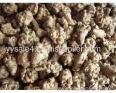 China Supplier Total Ginsenoside ≥15%--95% Radix Notoginseng P.E Extract powder