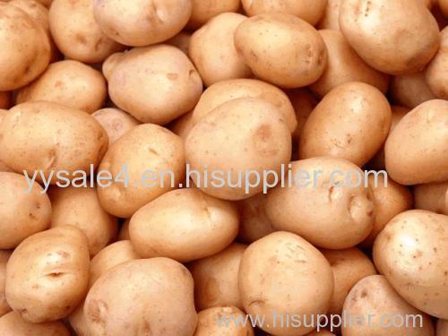 Best price natural Potato Protein 5% Potato Extract/PI2 Inhibitory Activity