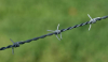 BWG12 wire diameter galvanized barbed wire