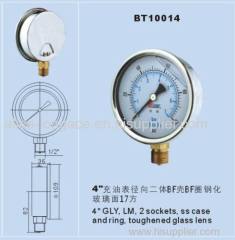 Standard Liquid Filled Pressure Gauge