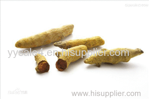 100% Natural High quality Turmeric root extract/ Curcumin 95%