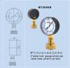 water test pressure gauge