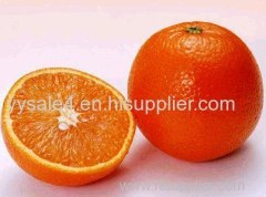 2016 hot supply Natural Citrus Limonoids/limonin 90-95% by HPLC plant extract