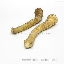 Hot sale Plant extract Armoracia Rusticana Extract/ Horseradish Extract/Armoracia Rusticana P.E.