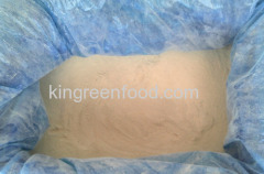 dehydrated mushroom champignon powder