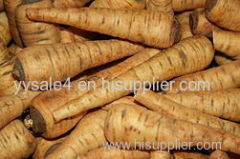 natural hebal raw material high quality 10:1 Parsnip Root Extract powder