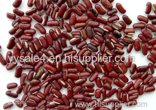 Good Quality Natural Vigna Umbeuata Extract/ Vigna angutaris Extract/Bean Extract/ Vigna Umbeuata Ohwi et Ohashi Extract