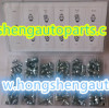 110PCS INCH GREASE FITTING KITS