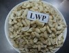 Raw cashew nuts/ Cashew Kernels/ WW320/450/240/SW/BW/LBW/LP/SP