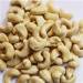 Grade A CASHEW NUTS WW450 WW320 WW240 SP LP FOR SALE