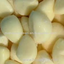 Supply Thailand IQF Shallot Dices