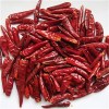 Chili Pepper Product Product Product
