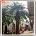 Guangzhou Songtao making large artificial outdoor palm trees for sample