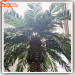 Make large outdoor artificial date palm trees wholesale for home garden or projects