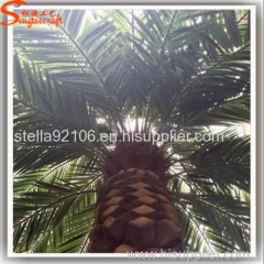 Make large outdoor artificial date palm trees wholesale for home garden or projects