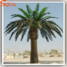 Guangzhou Songtao making large artificial outdoor palm trees for sample