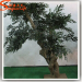 artificial olive tree large outdoor tree oak tree plant customized
