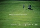 High Abrasion Resistance Golf Artificial Grass Carpet Home Outdoor Golf Putting Greens