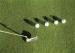 Autumn Spring Sport Putting Green Artificial Golf Grass With Shock Pad Grassland