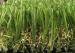 Soft Durable Outdoor Artificial Grass Lawns S Shaped 20mm - 45mm Pile Height