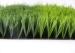 50MM Soccer Artificial Grass Indoor Synthetic Turf Environment Friendly