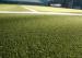 Curly Sport Flooring Hockey Coloured Artificial Turf Fake Carpet Grass