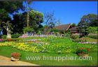 Green Landscaping Artificial Grass