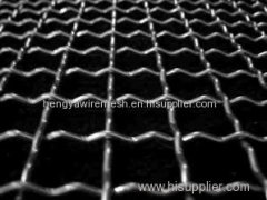 stainless steel cripmed wire mesh