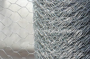 Hexagonal Wire Netting Hexagonal Wire Netting