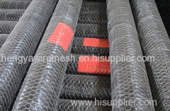 Hexagonal Wire Netting Hexagonal Wire Netting