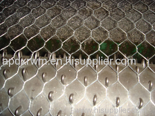 Stainless Steel Hexagonal Wire Netting