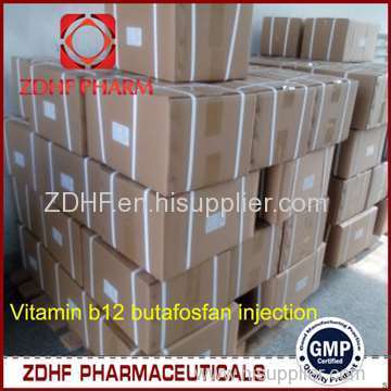 Poutlry Immune Booster Injection B12 Vitamin