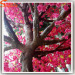 4.5 meter high unique shape of pink plastic cherry blossom tree branches artificial Sakura Tree for wedding flowers