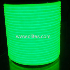 LED neon lights 220v 120v 24v 12v