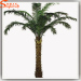 Middle East date palm trees phoenix sylvestris palm tree mature Silver Date palm artificial