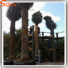 Artificial Silver Date palm