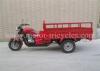 Three Wheel Cargo Motorcycle Tricycle Gas Motorized Trike 320kg Dry Weight