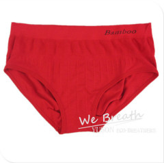 Apparel& Fashion Underwear& Nightwear Briefs Panties Thongs& Boxers Organic Bamboo Seamless Ecowear Women's Full Brief