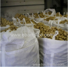 Onion Jumbo Bags with Ventilated Mesh